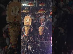 Pariyanampatta Pooram | Vibrant Temple Festival of Palakkad