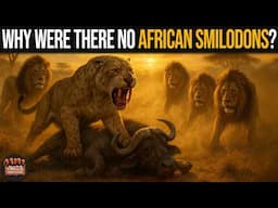 Why Smilodons Never Lived in Africa