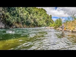 Amazing Trout Fishing in New Zealand's Backcountry