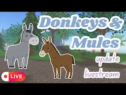 Donkeys & Mules Update Livestream! 🫏 | Wild Horse Islands