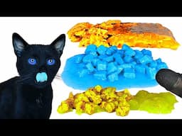 Cat Eating Colorful Food ASMR Mukbang