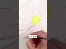 How to paint this Cosmos flower