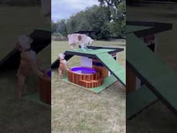 I Made a Pool out of Trash for my Dogs