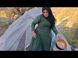 **From Tents to Dreams: Nomad Mother Builds a Home with Her Children**