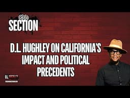 D.L. Hughley on California's Impact and Political Precedents