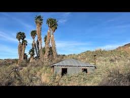 Ghost Town in a Palm Tree Oasis