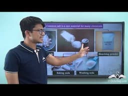 Chemicals from Common Salt Part I