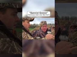 Have you EVER seen a Canada Goose like this before? #canada #goosehunting #wildlife #question