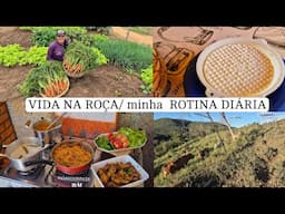 " Entre hortas e panelas: um dia de trabalho e receitas deliciosas
