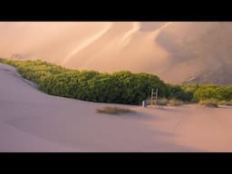 Los Oasis de Pica Vida y muerte en el desierto - Remasterizado