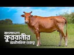 কুরবানীর ঈদ অর্থনীতিতে কতটা গুরুত্বপূর্ণ ?