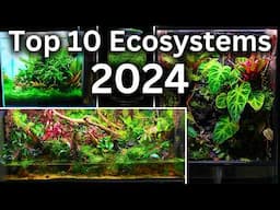 My Top 10 Ecosystem Builds Of 2024!