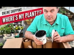 I Ordered Proven Winners Plants from 4 Online Sellers—Here’s What I Got or Didn't -CORRECTION IN DES