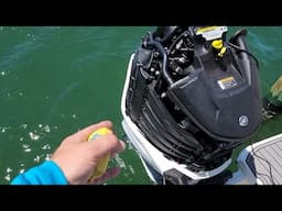 Mercury Overheat & Modern Switches!! #BostonWhaler #SeaRay #Mercury