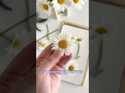 Learn how to use a flower press to preserve your garden! Frame dried flowers for a perfect keepsake