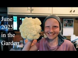 June 2025 Garden Highlights / Abundant Blooms and Veggies