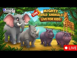 Mighty Animals of the Wild | Elephant, Rhino, Gorilla, Hippo Live for Kids