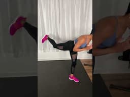 Form Review: The Back Kick