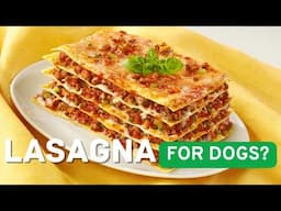 How Pet Food Companies Lie To You