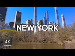 [4k] Morning Walk in NYC ☀️🌸 Cherry Blossoms and Calm Views in Central Park