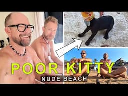 Did We Save This Cat's Life? Nude Beach Life in Zipolite, Oaxaca, Mexico