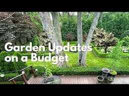 Budget Garden Renovation: My Back Yard Garden Update