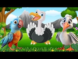 Wild Animal Sounds In Peaceful: Ostrich, Pelican, Parrot,... | Cute Animal Moments