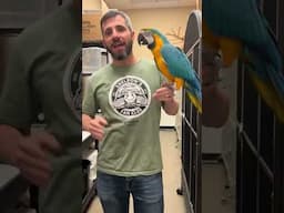 Parrot Do’s and Don’ts