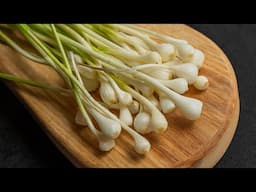 Edible Onion Grass / Crow Garlic / Field Garlic (Allium vineale)
