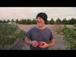 My fruit trees have fruited twice!