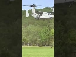 Osprey Landing Destroys Tree with Rotor Wash