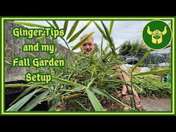Starting the FALL GARDEN and Planting Ginger!