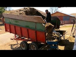How A Farmer Feeds Cows and Cleans Barns On A Small Dairy Farm!