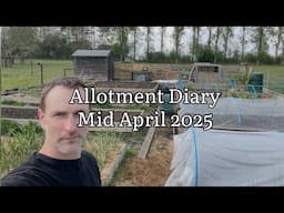 Allotment Diary Mid April 2025, Allotment Update Mid April 2025