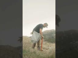 Saving Mule Deer. Restoring critical winter range habitat.