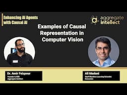Examples of Causal Representation in Computer vision