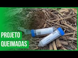 Montividiu: Projeto Queimadas