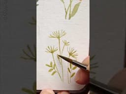 Mini Watercolor Yarrow Flowers: Skillshare Class Free Trial Link in Description