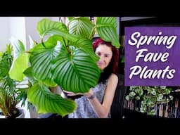 10 Houseplants I’m Loving Right Now (Spring Edition)