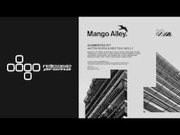 PREMIERE: Tomas Briski - The Other Side [Mango Alley]