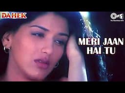 Meri Jaan Hai Tu - Audio | Akshaye Khanna | Sonali Bendre | Alka Yagnik | Dahek Movie |90's Sad Song