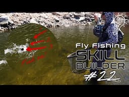 Swinging Wet Flies with Lance Egan! | Fly Fishing Skill Builder #22