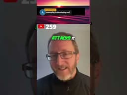 Mono and MS  Unraveling the Connection