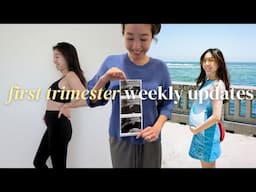 First Trimester Recap: Weekly Updates, Weight Gain, First Ultrasound, Symptoms