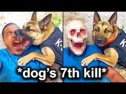 When Criminals Mess With The Wrong Police Dog