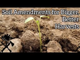 Five Soil Amendments to Grow Bigger, Better Food