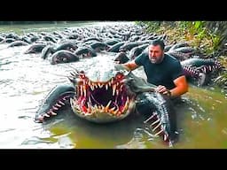 20 Scariest Animals Found in the Amazon Rainforest