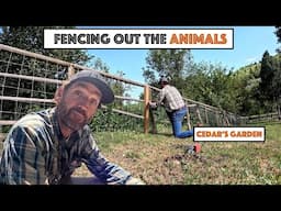#802 - Fencing The Animals Out Of Cedar's Garden! Family Time!