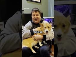 Classes, Objects, and State Explained with Corgis