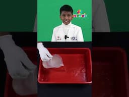 Make a Submarine in a Bottle! 🌊🚀 Alka-Seltzer Science Experiment